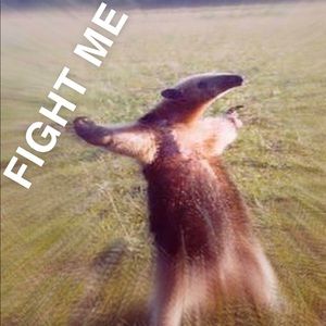 Meet your Posher, Mimi